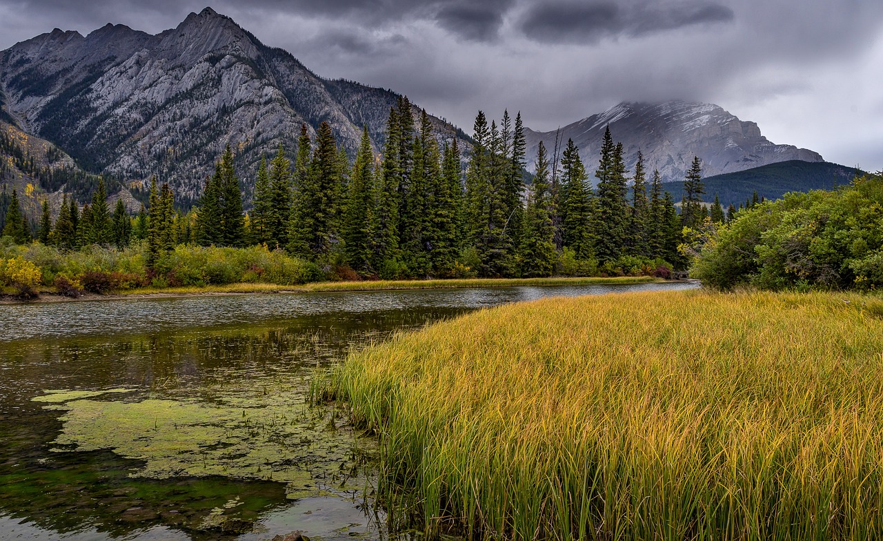 The Impact of National Parks on Cultural Heritage Preservation